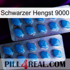 Black Stallion 9000 viagra2